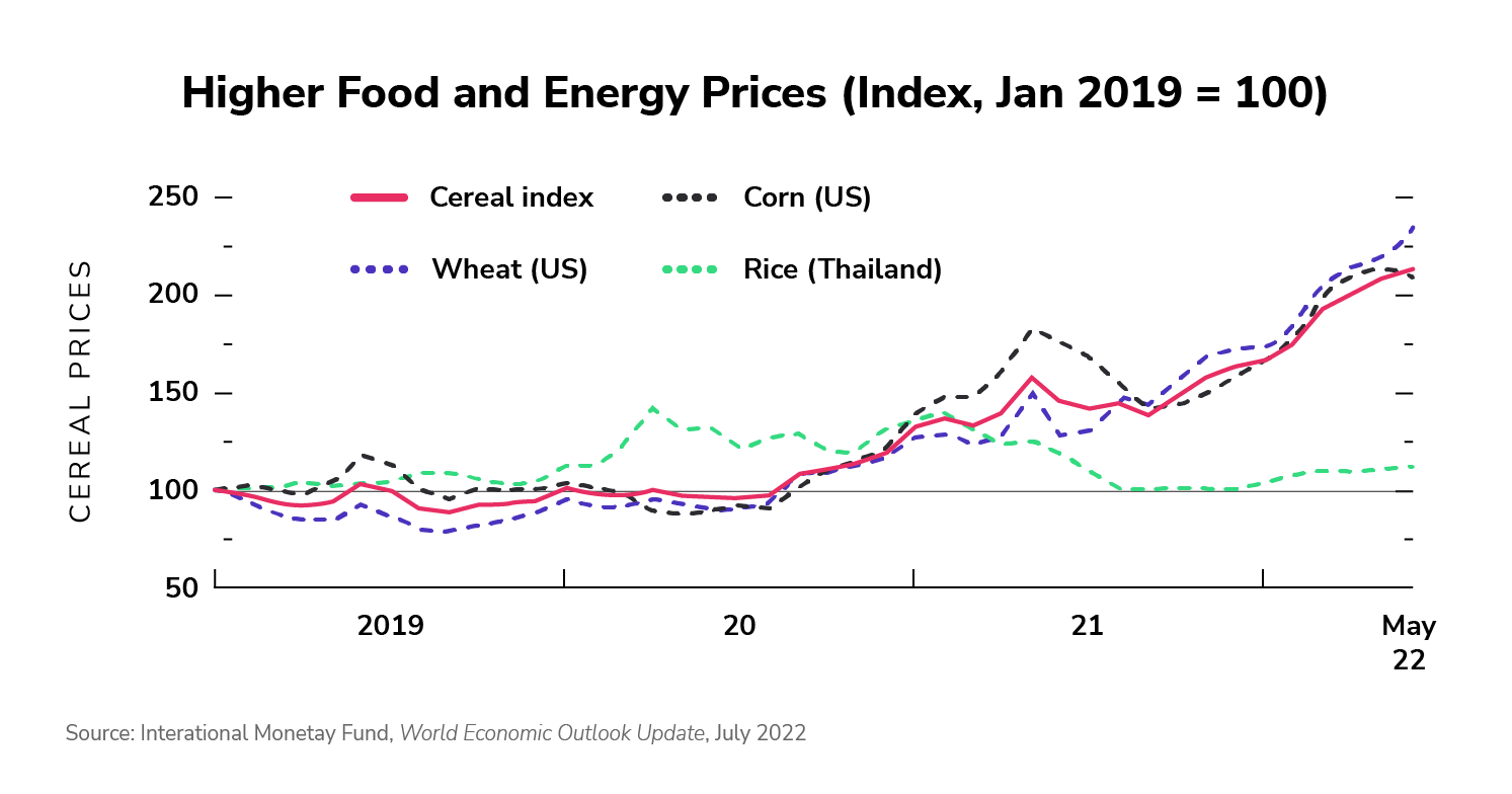 Higher Food and Energy Price – Cereal Prices