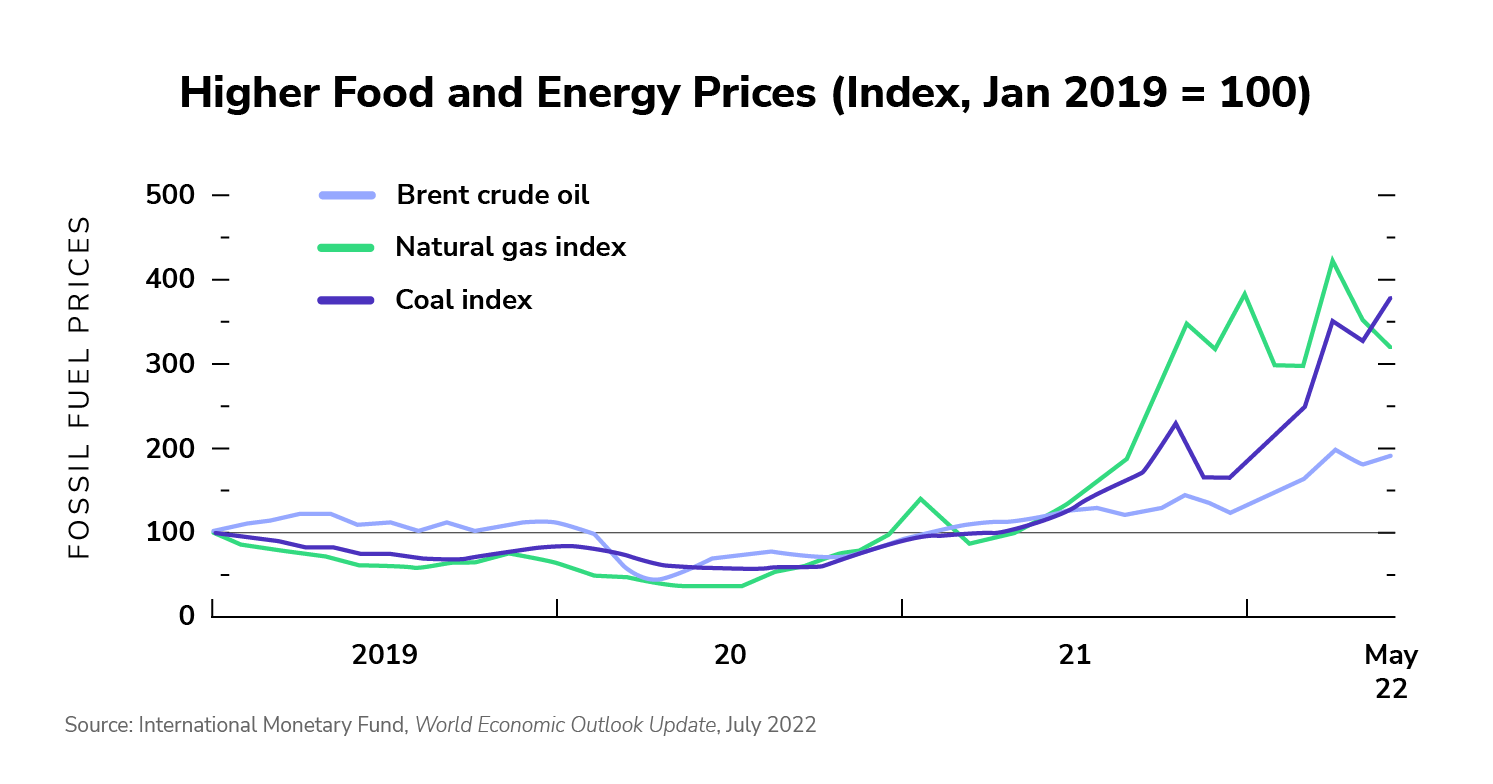 Higher Food and Energy Prices – Fossil Fuel Prices